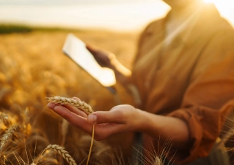 Girl standing in the wheat field holding a tablet in one hand and wheat in another.
