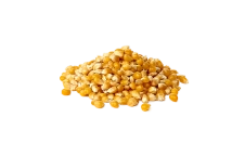 Corn